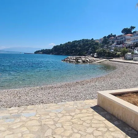 Bosiljak Jelsa